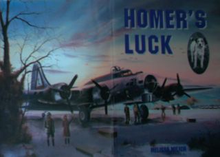 Homers Luck Childrens Book